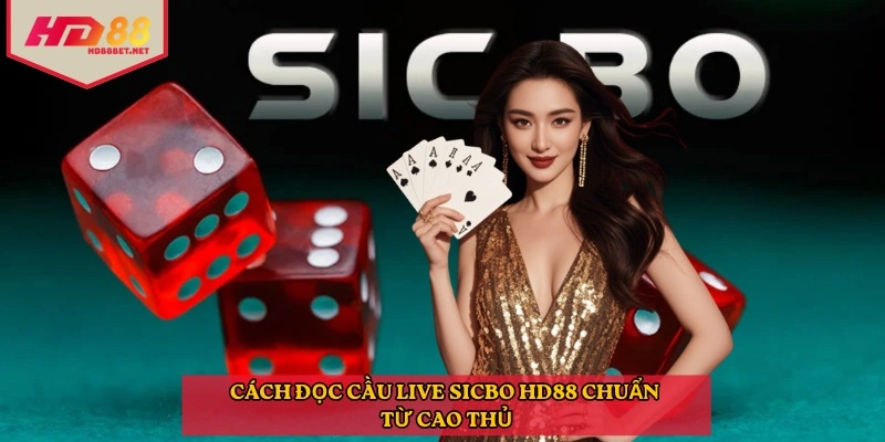 Cách đọc cầu live sicbo HD88 chuẩn từ cao thủ