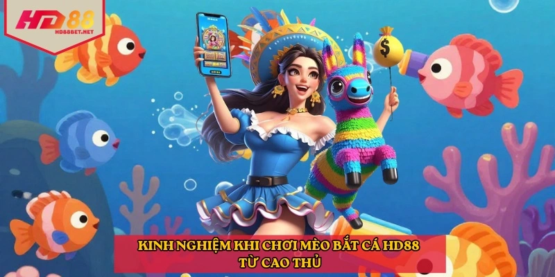 Kinh nghiệm khi chơi mèo bắt cá HD88 từ cao thủ