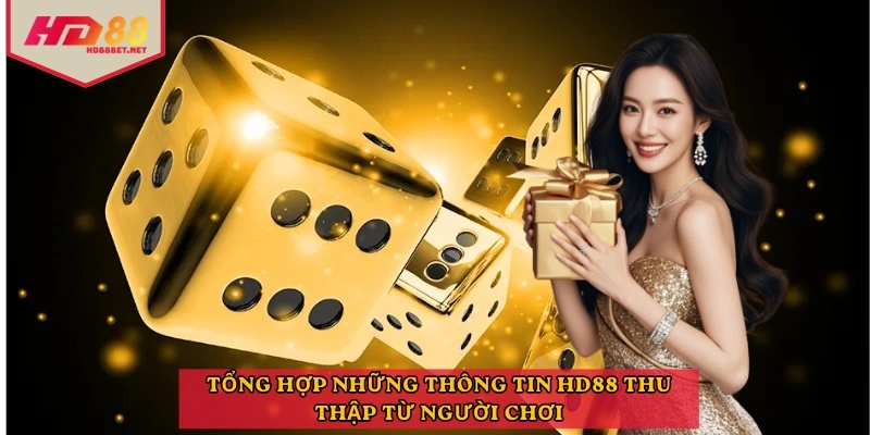 Tổng hợp những thông tin HD88 thu thập từ người chơi